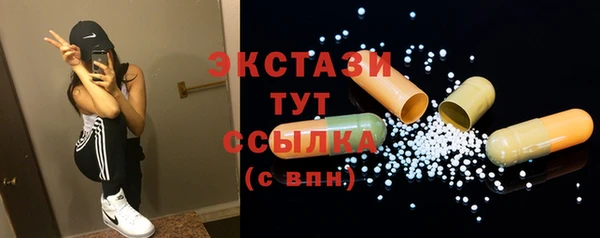 ECSTASY Няндома