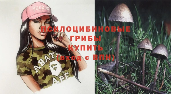 МДПВ Нязепетровск
