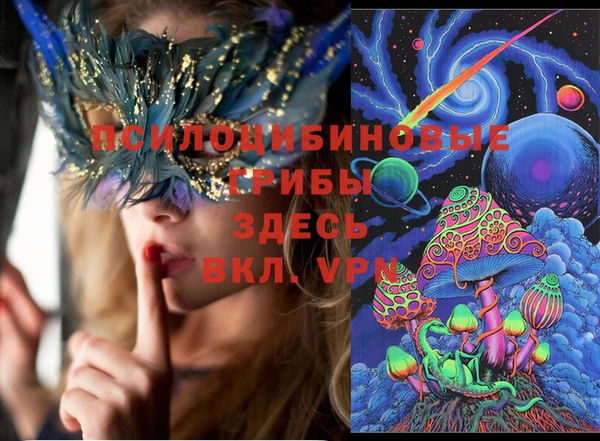 МДПВ Нязепетровск