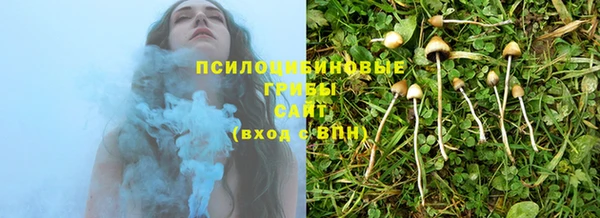 ГАЛЛЮЦИНОГЕННЫЕ ГРИБЫ Нягань