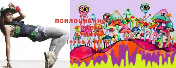 ECSTASY Няндома