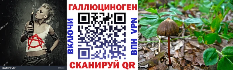Галлюциногенные грибы мицелий  Пушкино 