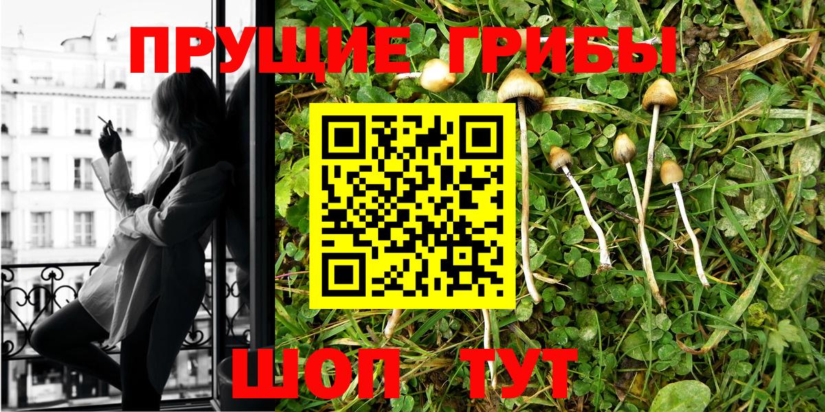 Пушкино  Галлюциногенные грибы Psilocybine cubensis  Вход с VPN 