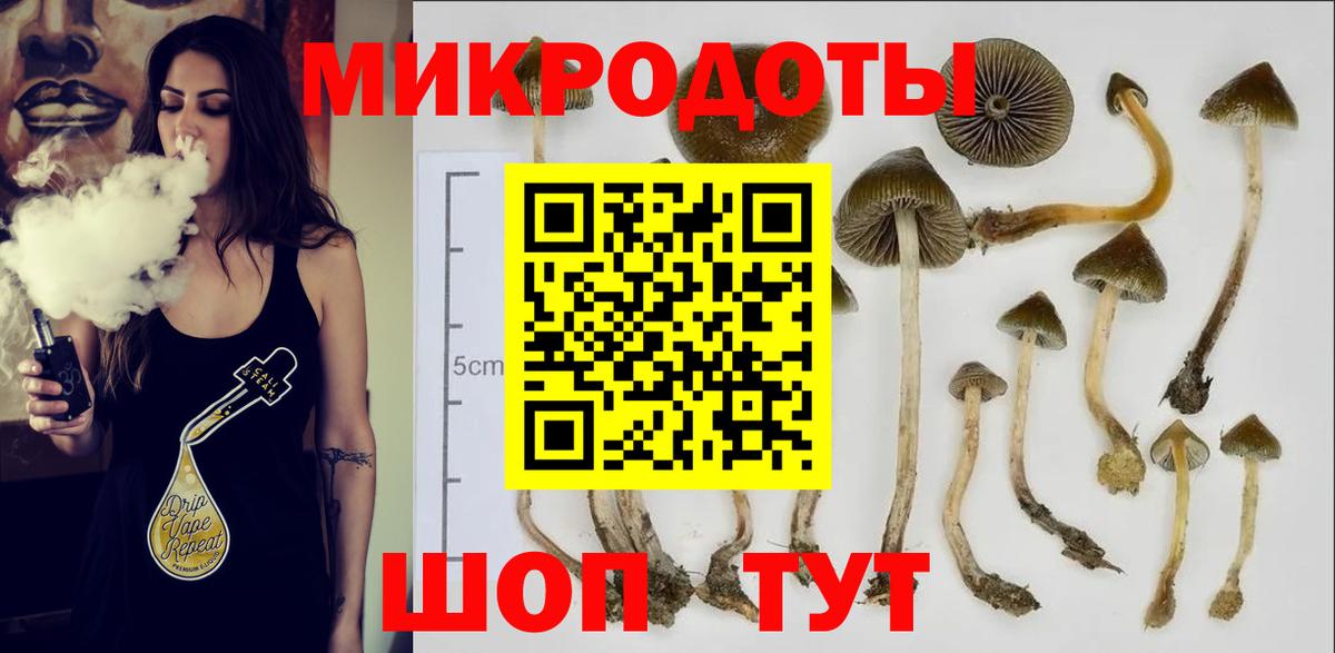 Псилоцибиновые грибы GOLDEN TEACHER Пушкино